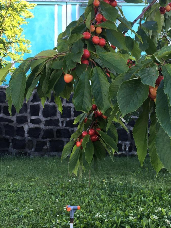 Edem Sevan Exteriör bild